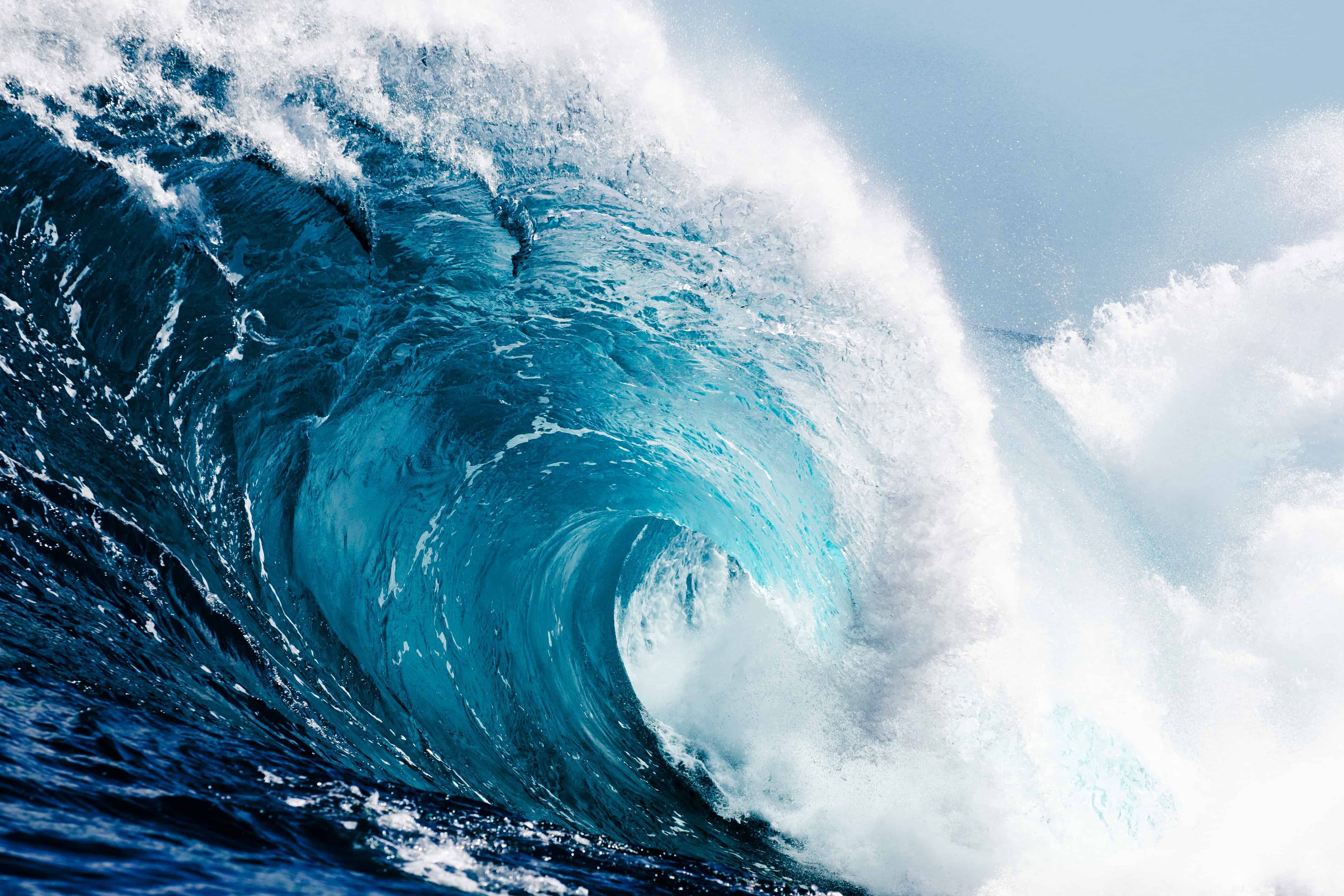 Forrester PRM Wave